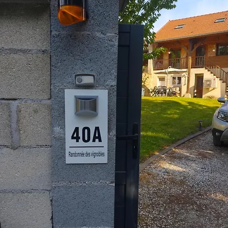 La Randonnée Des Vignobles Essomes-sur-Marne